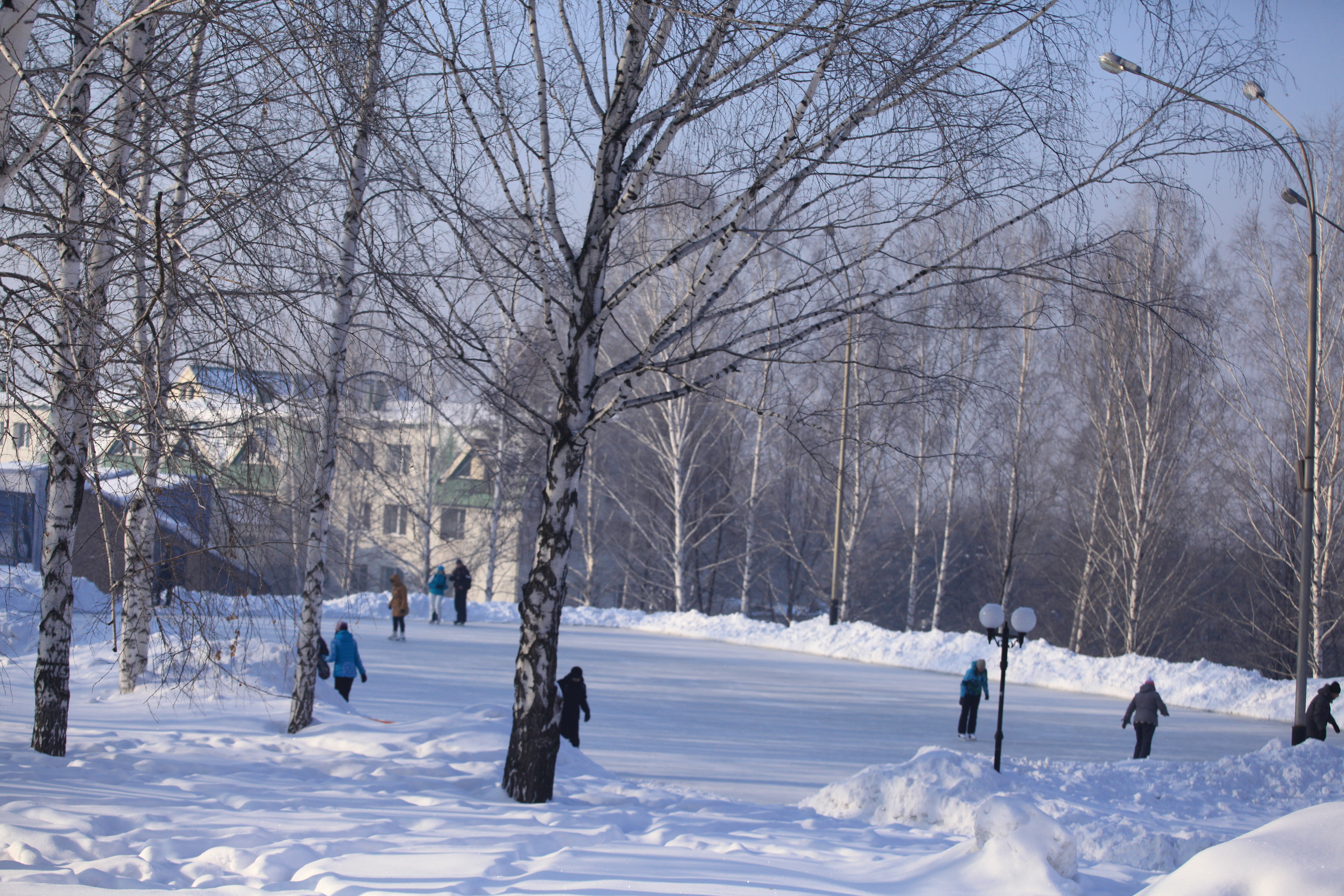 Фото Шахтер