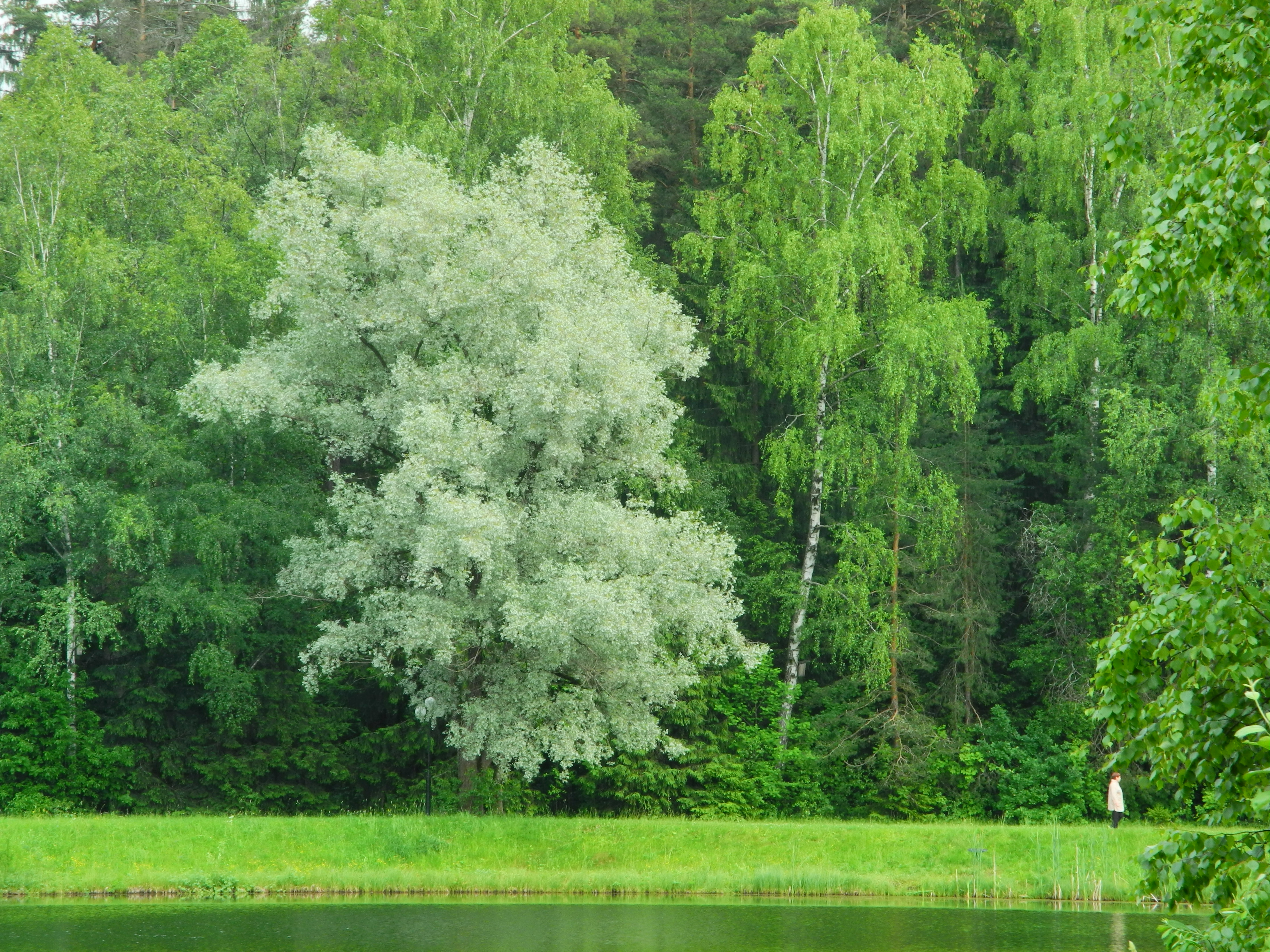 Фото Санаторий Пушкино