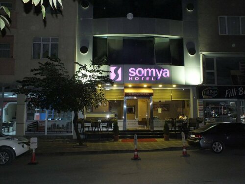 Гостиница Somya Hotel в Гебзе