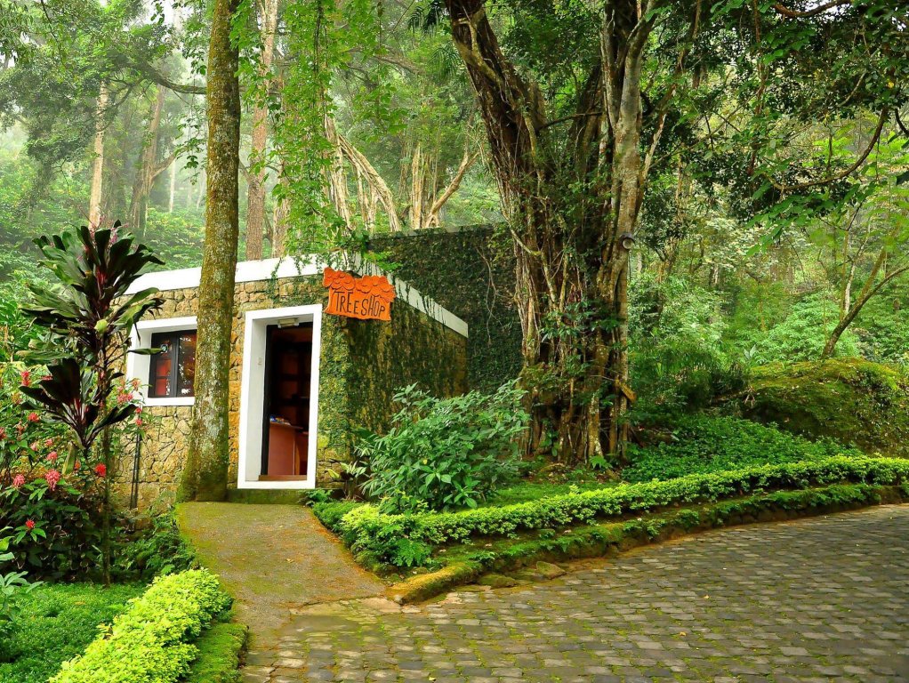 Фото The Tall Trees Munnar