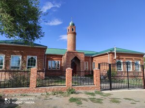 Медресе (Комсомольская ул., 28, село Тарлыковка), мечеть в Саратовской области
