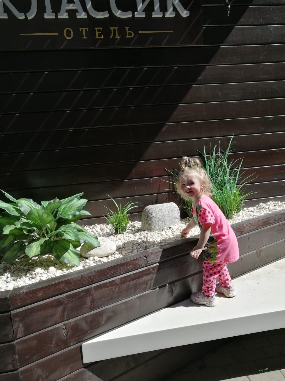 Фото Классик