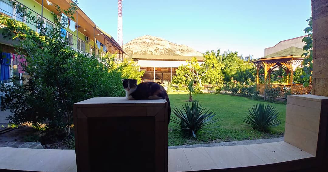 Фото Эльмаз