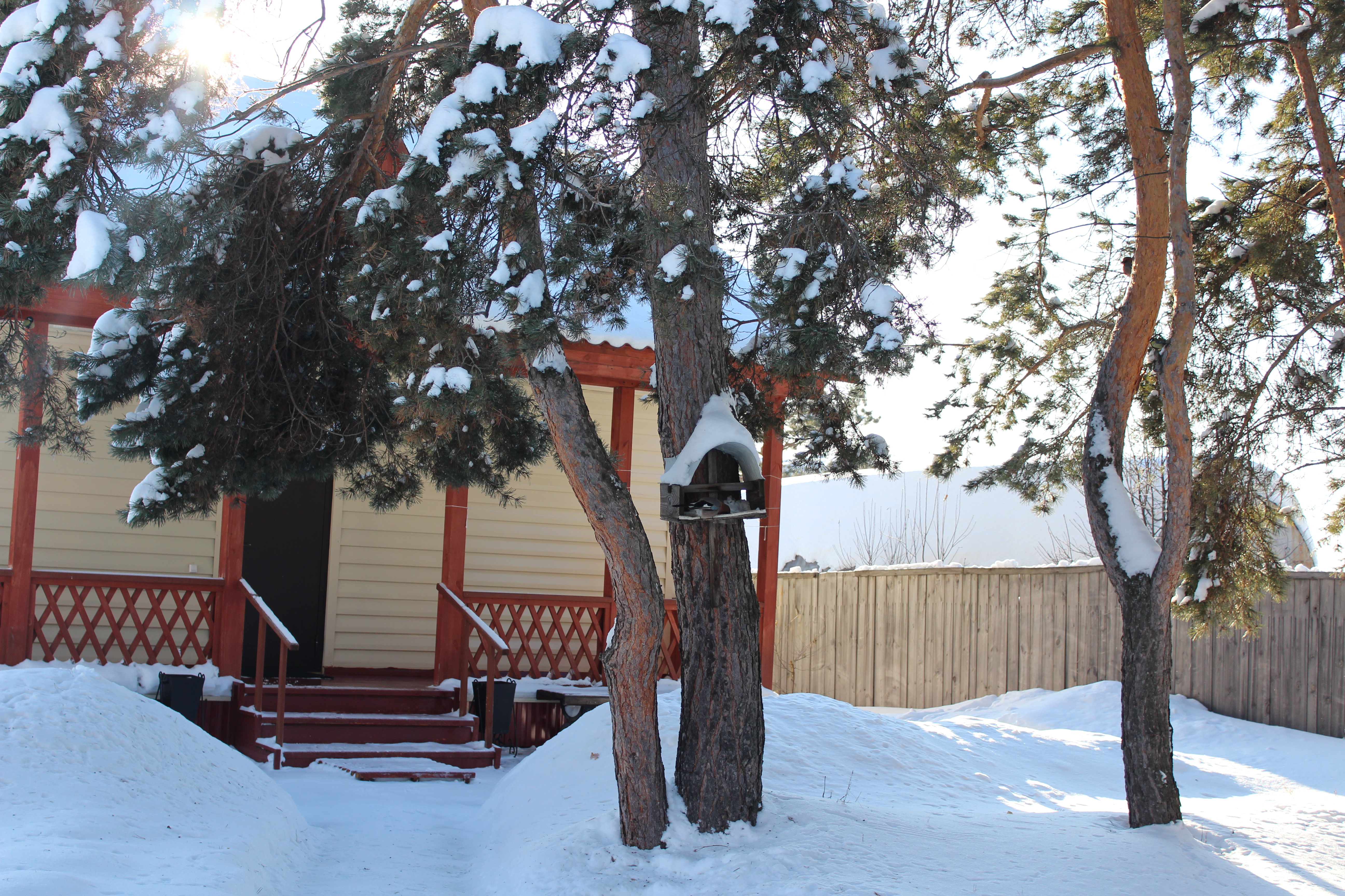 Фото Сосновый Бор