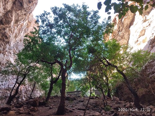Қыздар мастурбация жасап, шашады