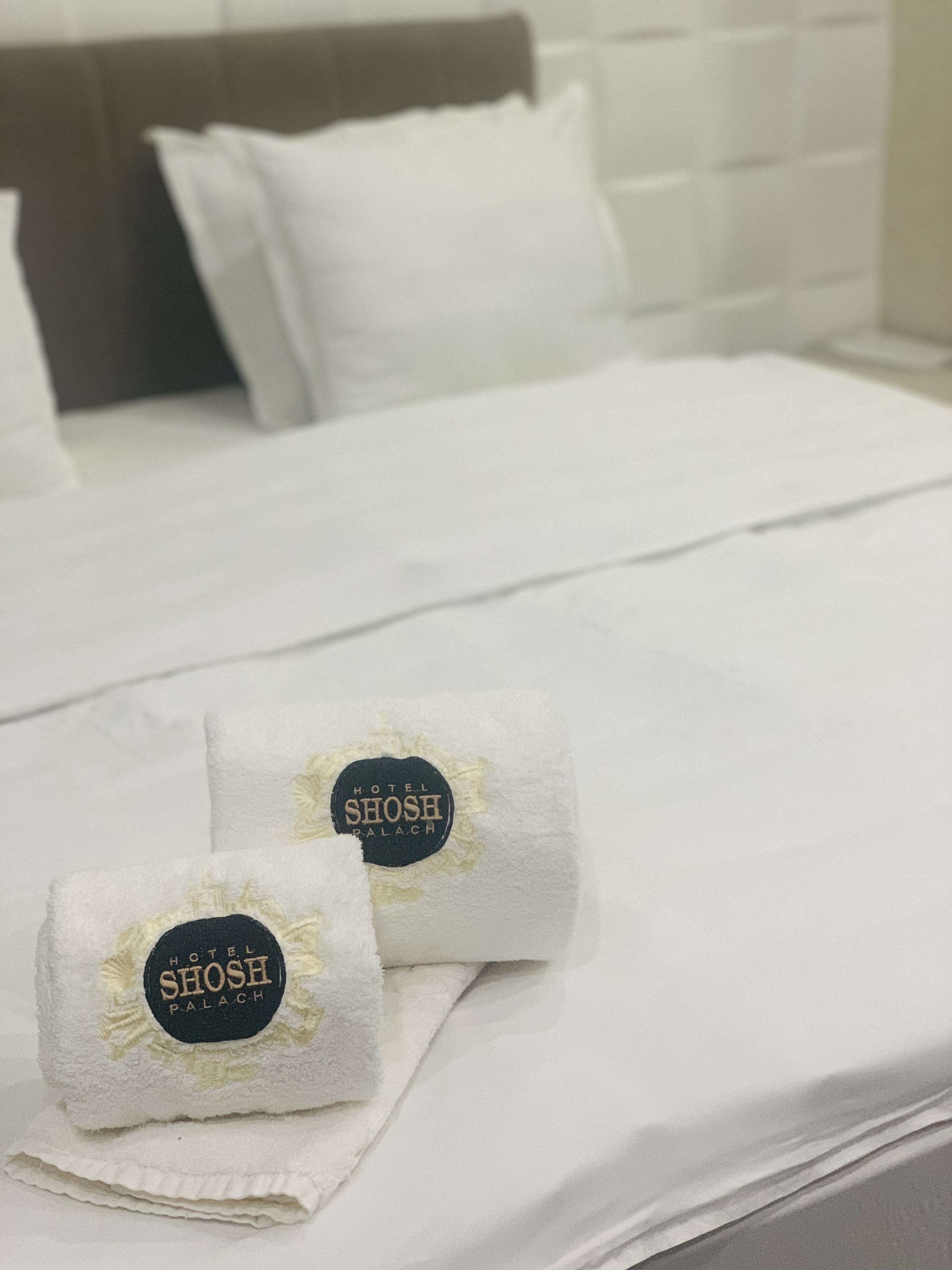 Фото Shosh Palace