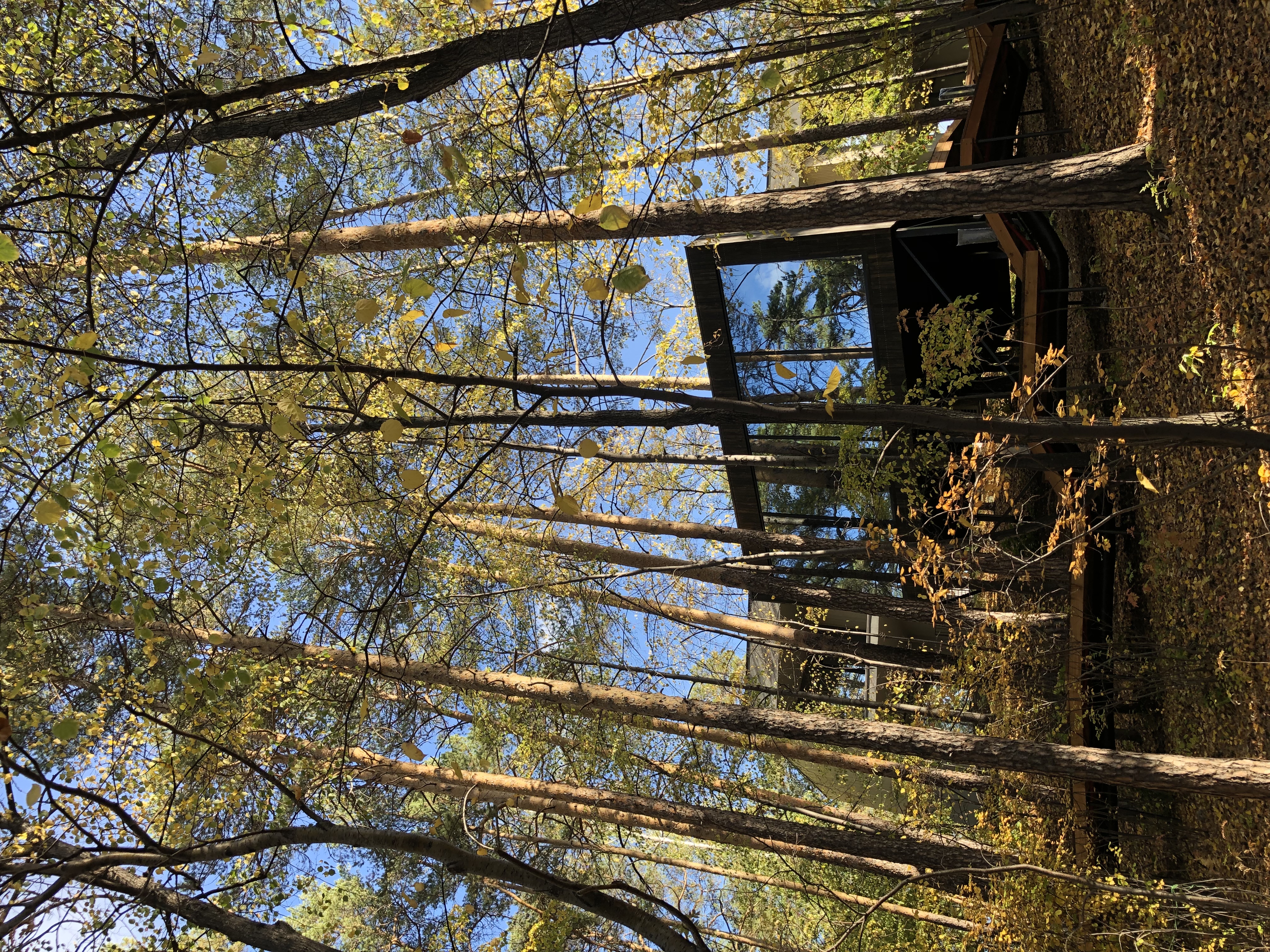 Фото Vert Landscape Hotel