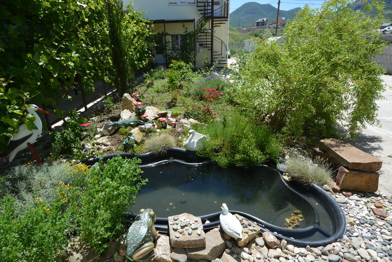 Фото Гостевой дом Роза