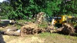 Chistye prudy (60-Letiya Oktyabrya Avenue, 100), urban improvement