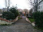 20 July Park (Istanbul, Kucukcekmece, Tevfikbey Neighborhood, 20 July Avenue) ، الغابات