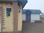 Шишкина С. В. (Rabochaya ulitsa, 154В) ، فندق