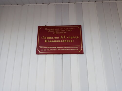 Гимназия МБОУ Гимназия № 1 города Новопавловска, Новопавловск, фото