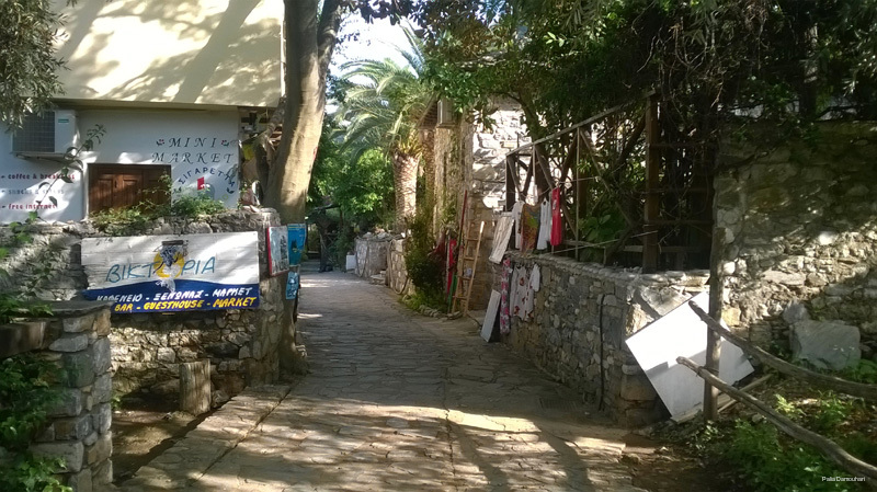 Фото Palia Damouchari