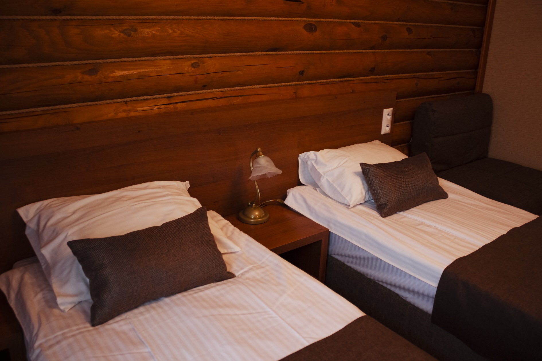 Фото Фаворит