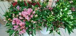 Papa Rose (Enthusiasts Street, 5), flowers and bouquets delivery