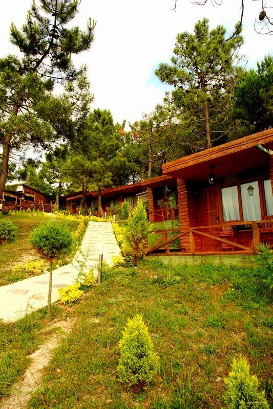Woodyville Ağaç Evleri, otel, Plajlı Yol Caddesi Evim Sok. No8