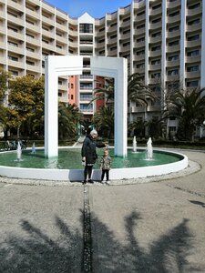 Самшитовая роща