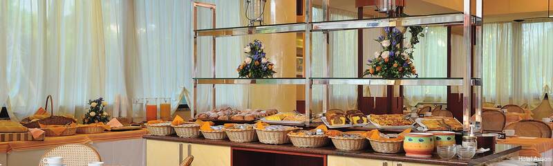 Фото Hotel Ausonia