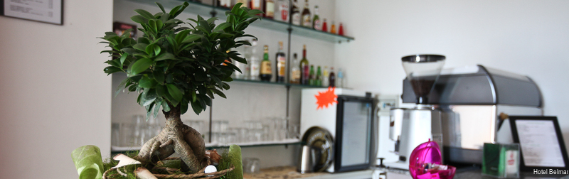 Фото Hotel Belmar