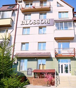 Blossom (Novosibirsk, Oktyabrskiy City Administrative District, mikrorayon Zelyony Bor, 1), cosmetology