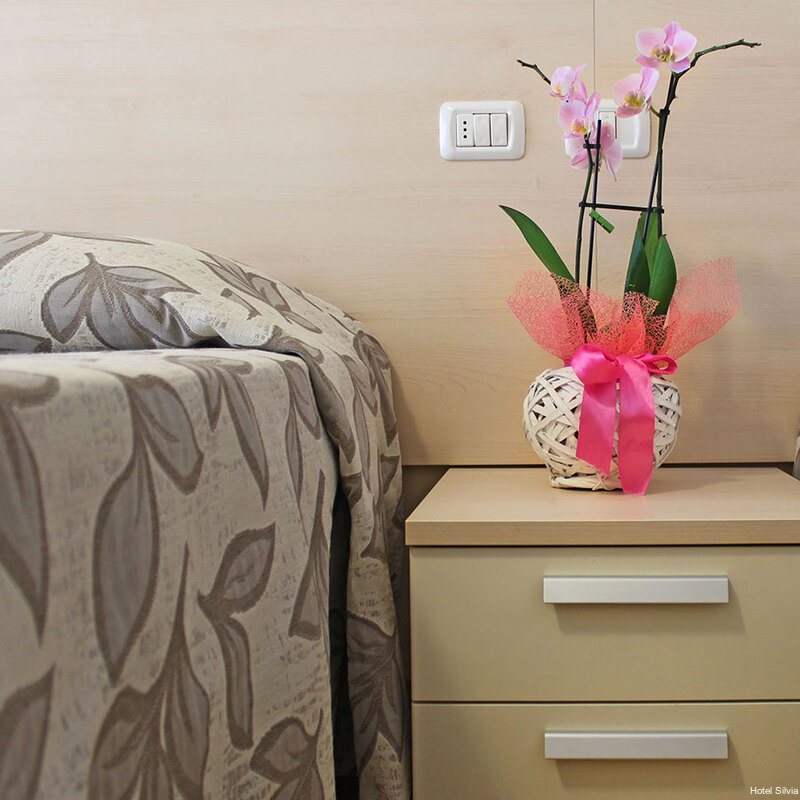 Фото Hotel Silvia Misano Adriatico