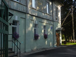Detskaya shkola iskusstv № 4 (Borby Street, 52) ، مدرسة الفنون