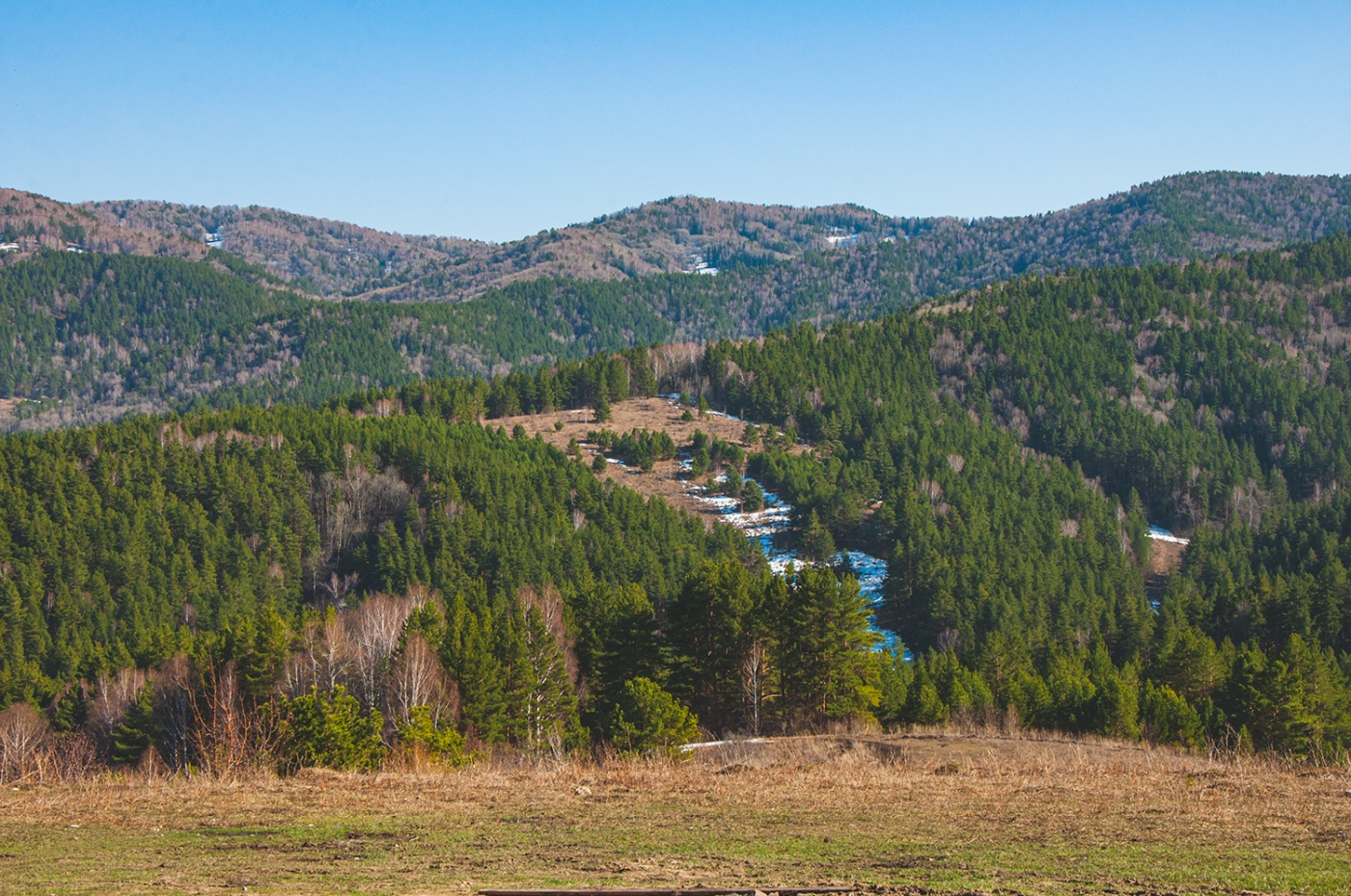 Фото Старые друзья Белокуриха