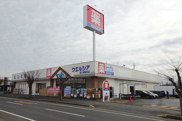 Pharmacy Welcia Ryugasaki Midoricho Store, Ibaraki Prefecture, photo