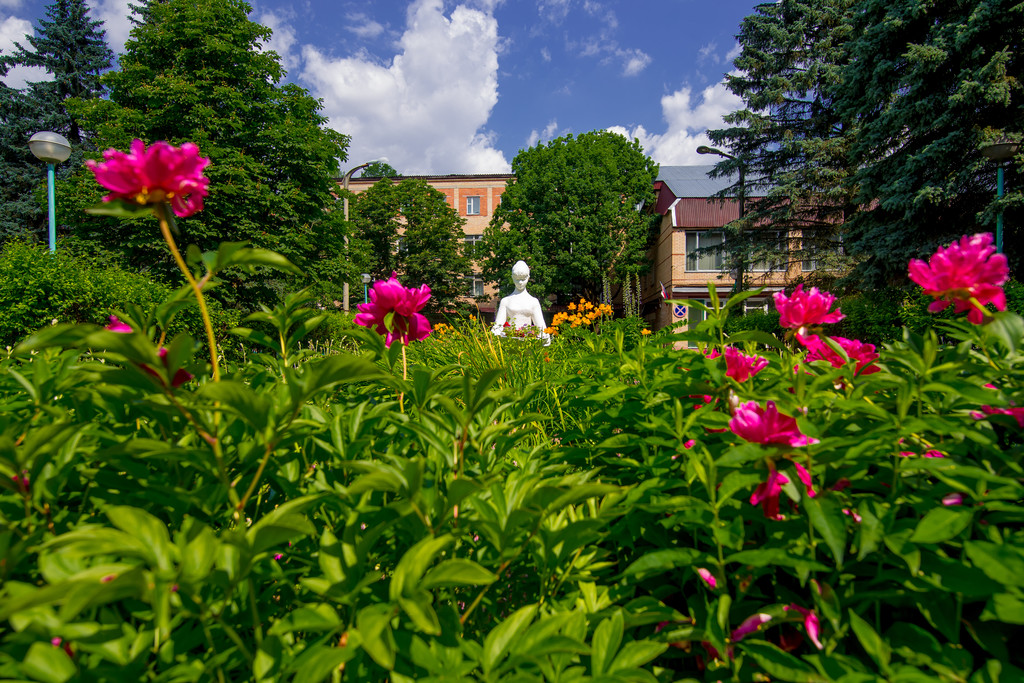 Фото Переделкино