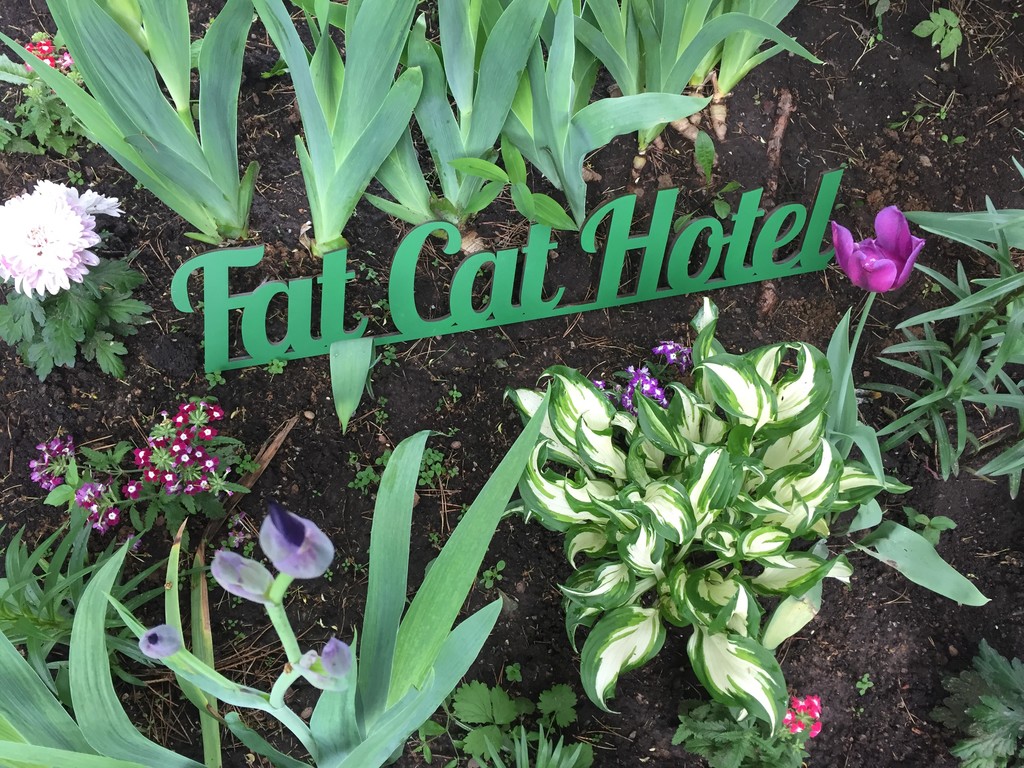 Фото Dom Hotel Dme