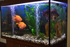 Гостиница Меридиан