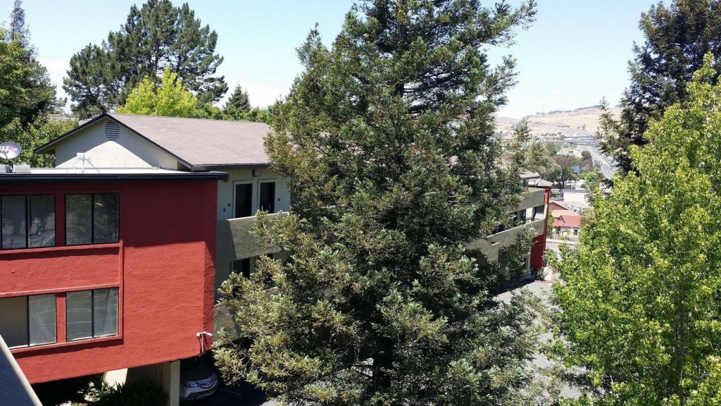 Фото SureStay Hotel by Best Western Vallejo Napa Valley