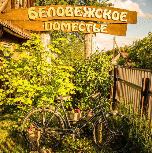 Гостиница Беловежское поместье в Каменюках