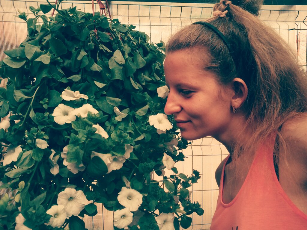 Garden center Kiskin Sad, Kaluga Oblast, photo