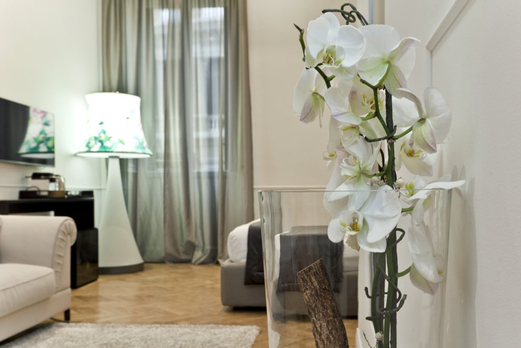 Фото Отель Vanity