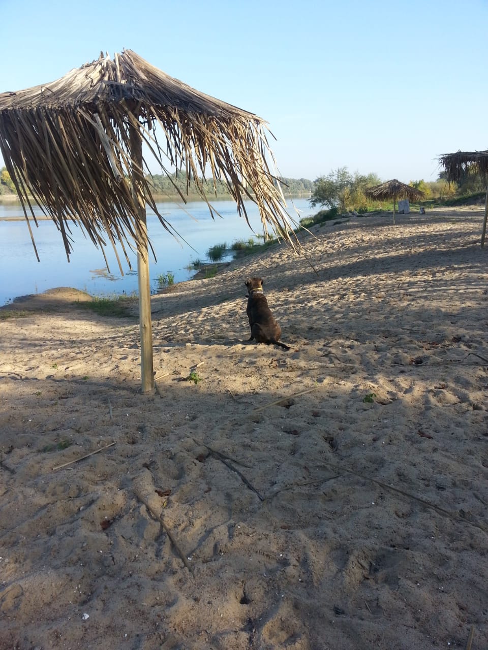 Фото Скаzка