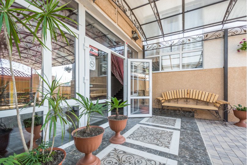 Фото Белый лев