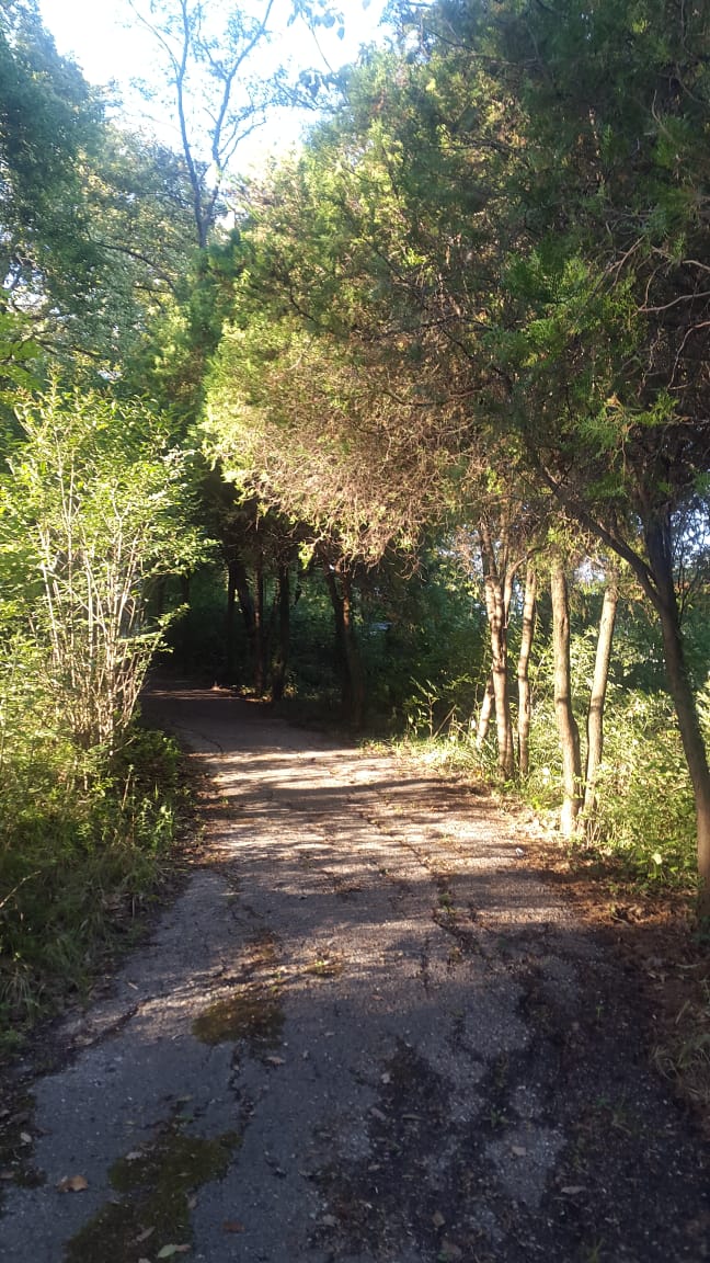 Фото Галина-чайка