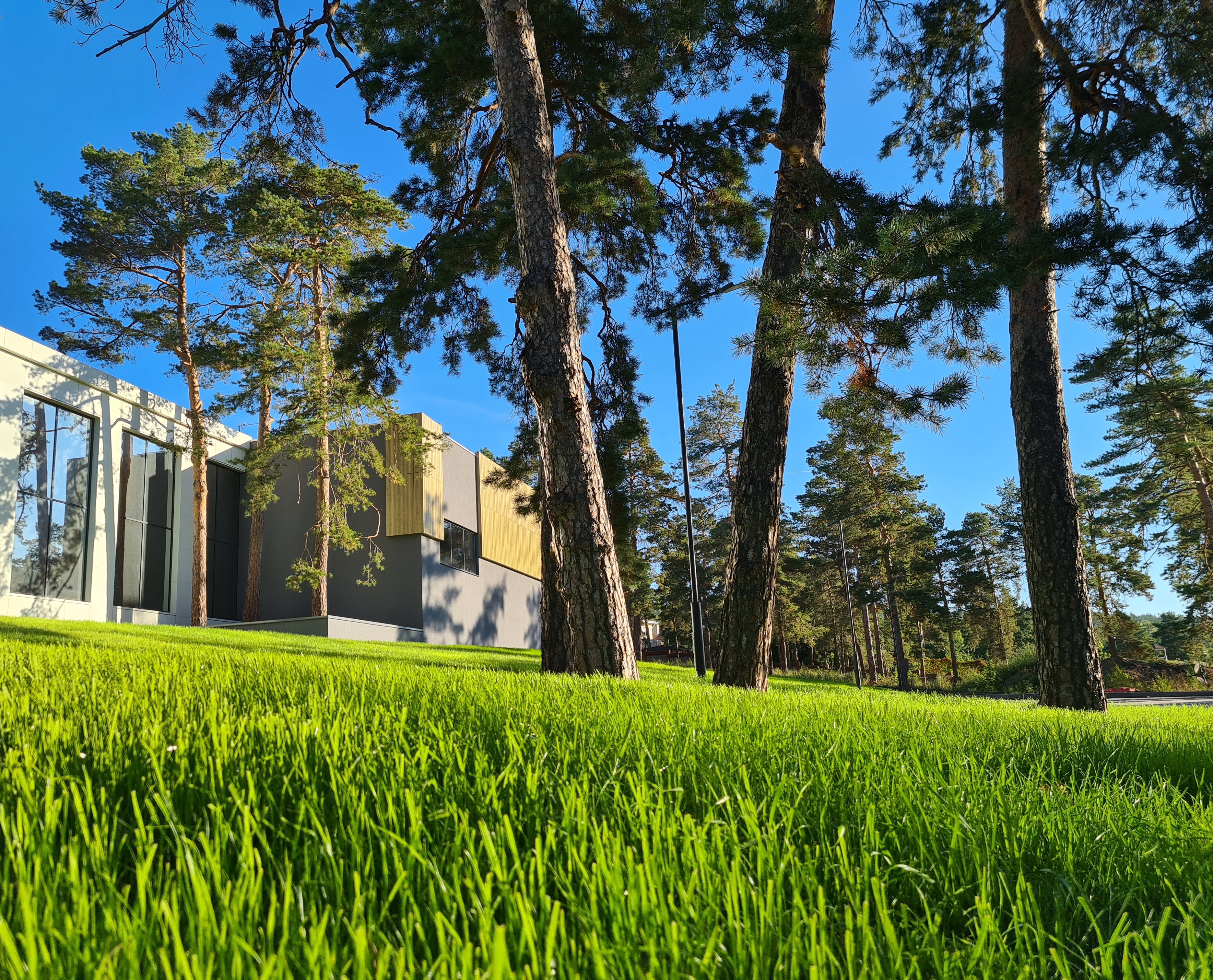 Фото Новая волна