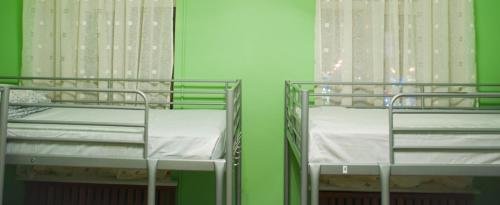 Фото Базилик