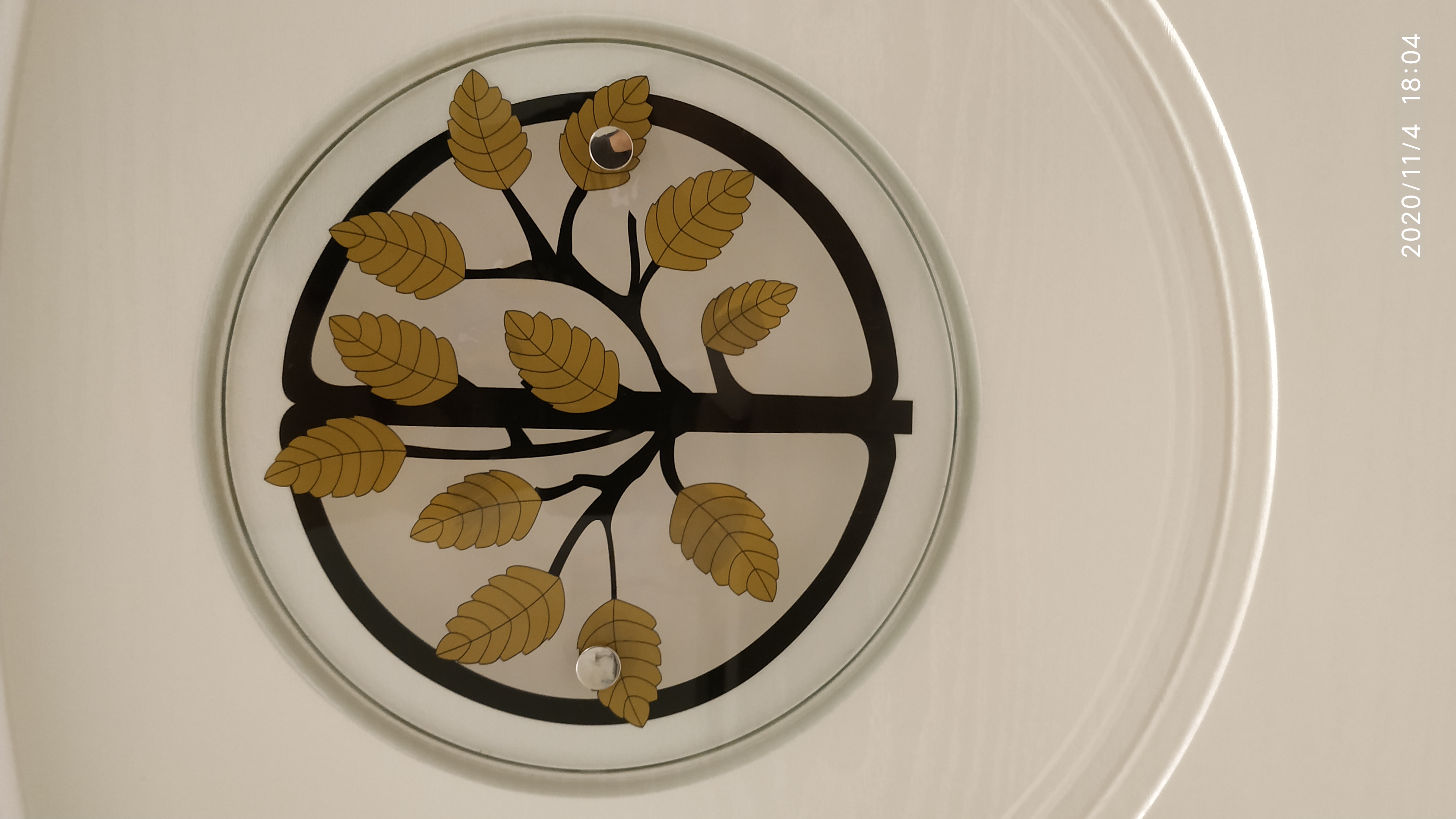 Фото Белое Дерево