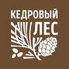 Кедровый лес
