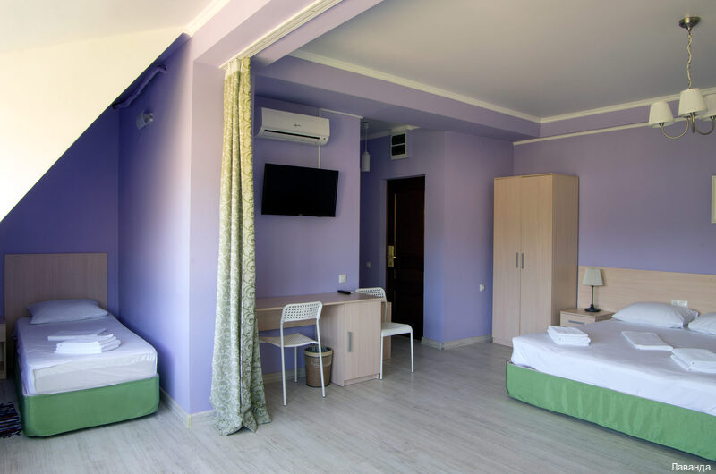 Фото Лаванда