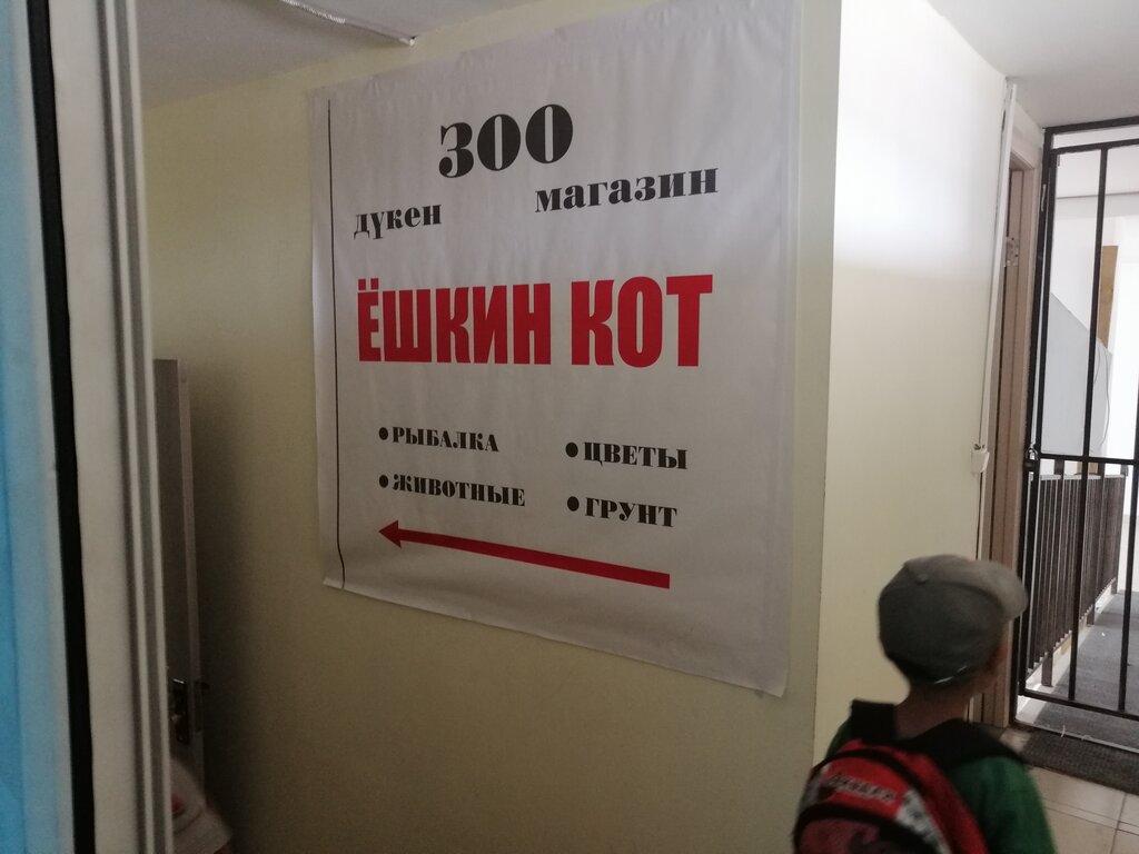 Pet shop Yoshkin cot, Astana, photo