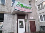 Джунгли (Bolshaya Sovetskaya Street, 43А), cafetería