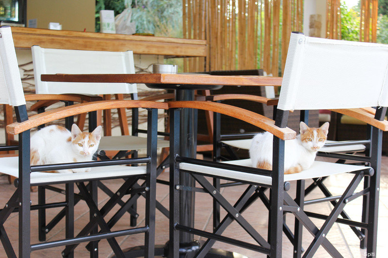 Фото Spiti Prifti