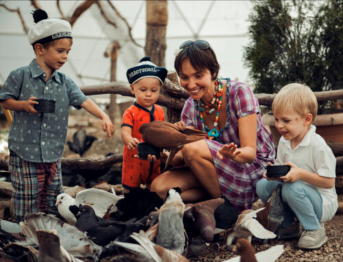 Экскурсии Парк птиц Динотерий, Республика Крым, фото
