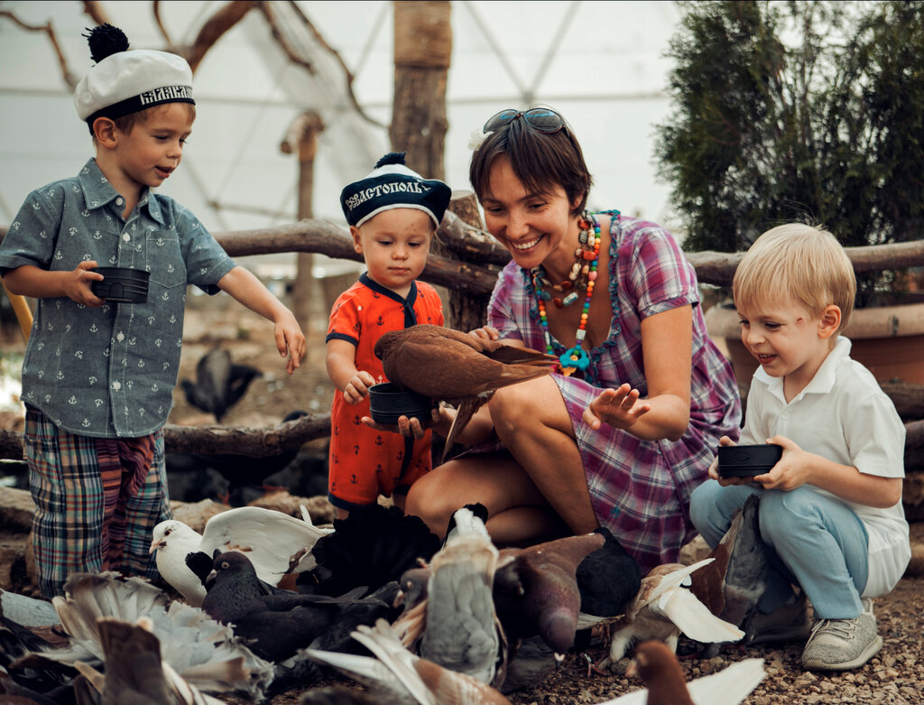 Excursiones Dinoteriy Bird park, , foto