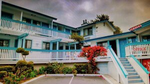 Гостиница Arbor Inn Monterey