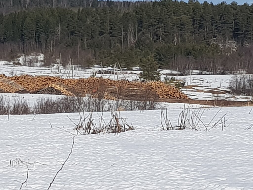 Forestry Vologodsky rayonny otdel Gosudarstvennoye lesnichestvo, Vologda, photo